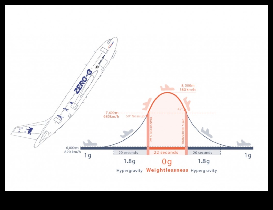 Zero-G Bliss: Bucuria lipsei de greutate dincolo de Pământ