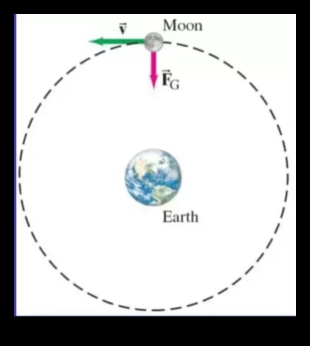 Forțele orbitale O privire mai atentă asupra dinamicii gravitaționale 4 Forțele orbitale: înțelegerea dinamicii gravitaționale