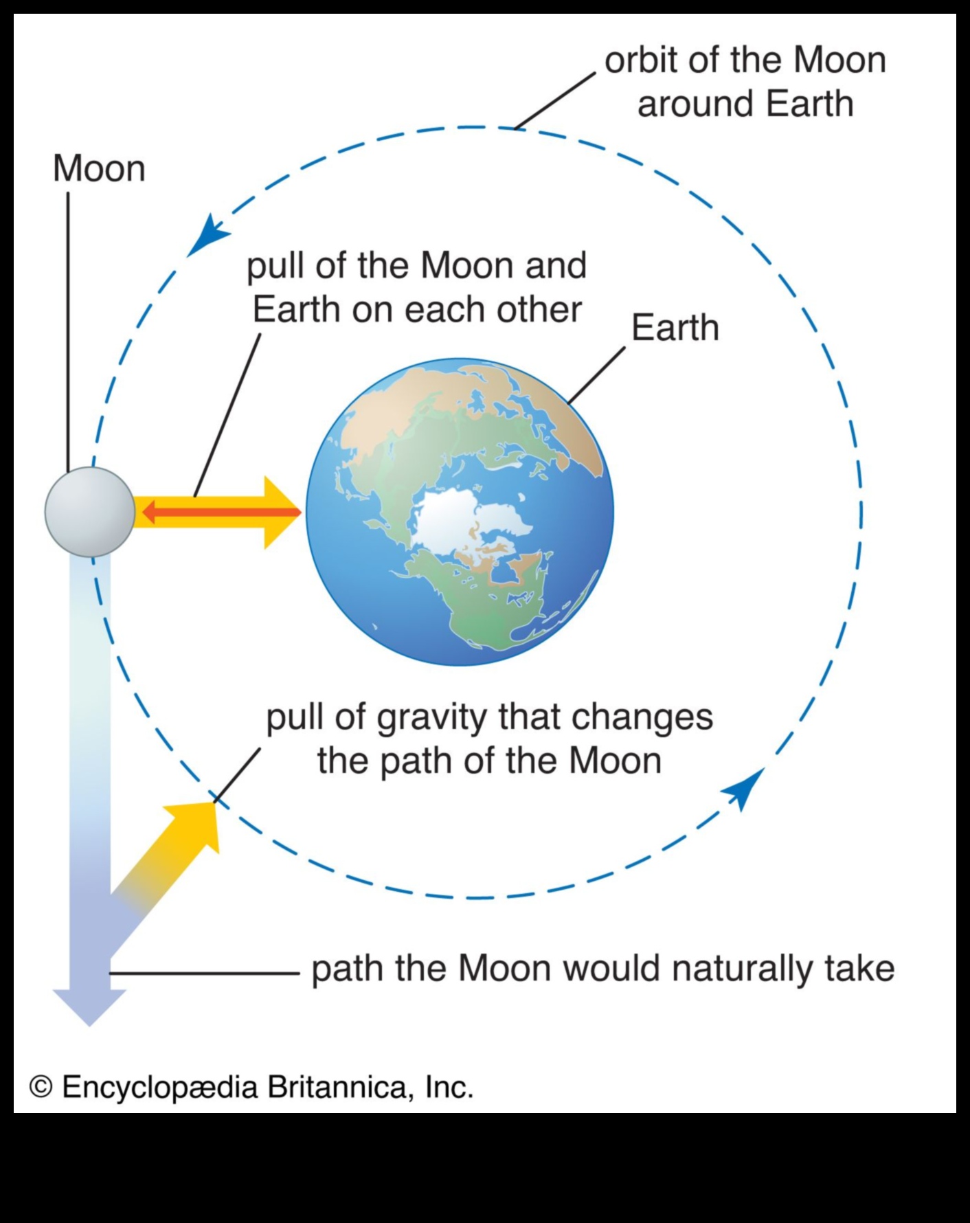 Forțele orbitale O privire mai atentă asupra dinamicii gravitaționale 3 Forțele orbitale: înțelegerea dinamicii gravitaționale