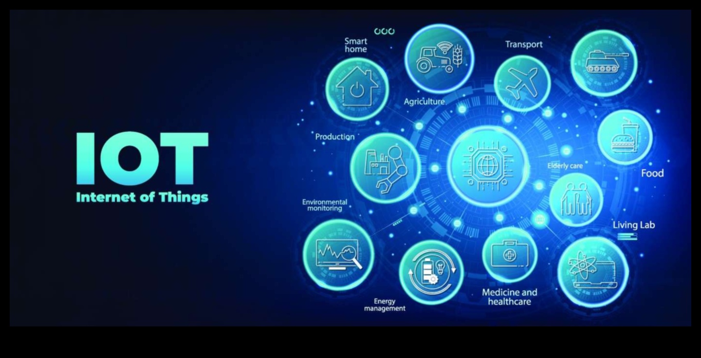 Dincolo de dispozitive Internetul lucrurilor și straturile de semnificație 2 Dincolo de dispozitive: straturi de sens în Internetul lucrurilor