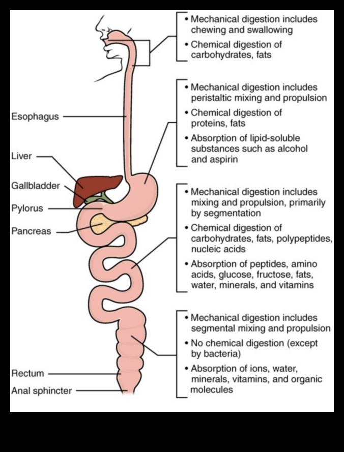 Chimia hranei O privire mai atentă asupra biochimiei nutriționale 5 Chimia hranei: o privire mai atentă asupra biochimiei nutriționale