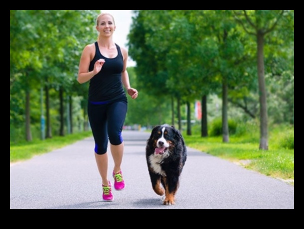 Canine Cardio Fun și fitness pentru un câine fericit și sănătos 2 Canine Cardio: distracție și fitness pentru un câine fericit și sănătos