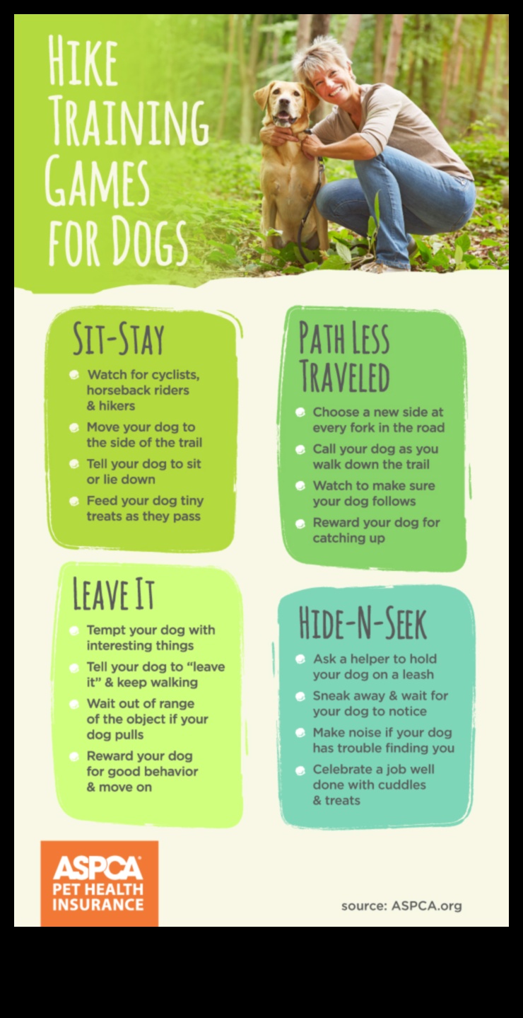 Canine Cardio Fun și fitness pentru un câine fericit și sănătos 4 Canine Cardio: distracție și fitness pentru un câine fericit și sănătos