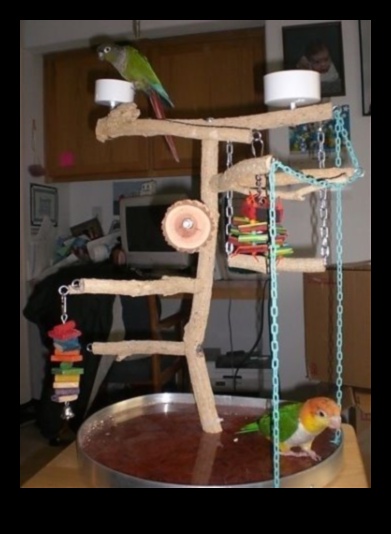 Casa de joacă pentru petreceri cu papagali, care creează un spațiu festiv pentru păsări 3 Casa de joacă pentru petrecerea papagalilor: crearea unui spațiu festiv pentru păsări