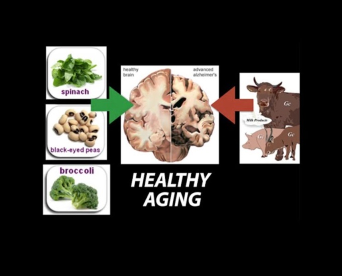 Alegeri înțelepte de nutriție: un ghid pentru îmbătrânirea sănătoasă