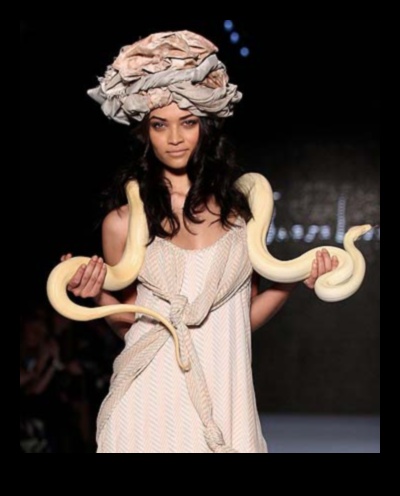 Reptile Runway Vezi cele mai recente stiluri în moda reptilelor 4 Pista pentru reptile: struding în stil cu accesorii pentru reptile