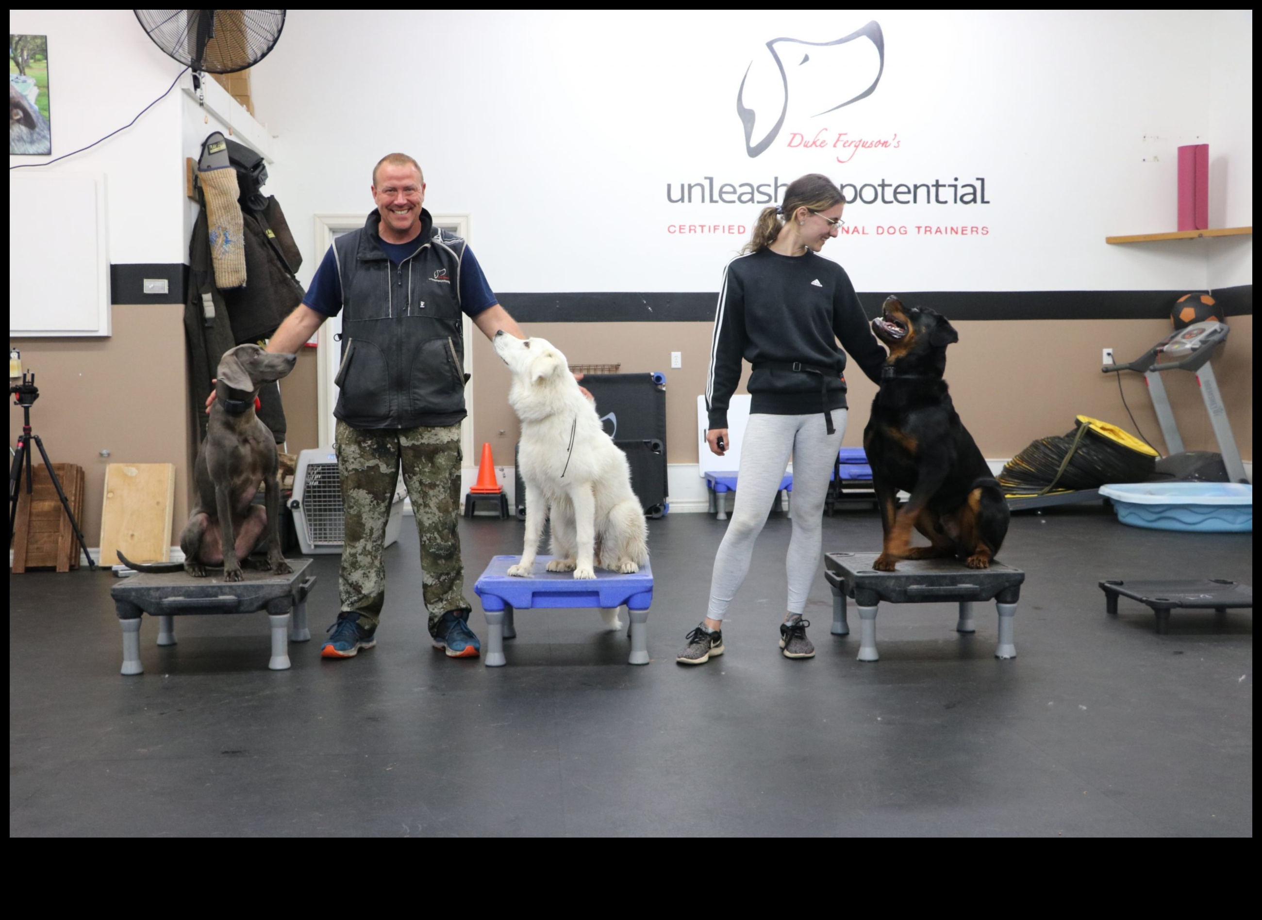 Cariere canine: dezlănțuirea potențialului câinilor de lucru