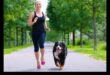 Canine Cardio: Menține-ți câinele în formă cu exerciții distractive