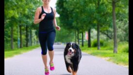 Canine Cardio Menține-ți câinele în formă cu exerciții distractive 1 Canine Cardio: Menține-ți câinele în formă cu exerciții distractive