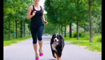 Canine Cardio: Menține-ți câinele în formă cu exerciții distractive