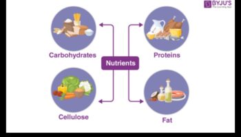 Ecuația nutrițională: deficiența de echilibrare pentru o sănătate optimă