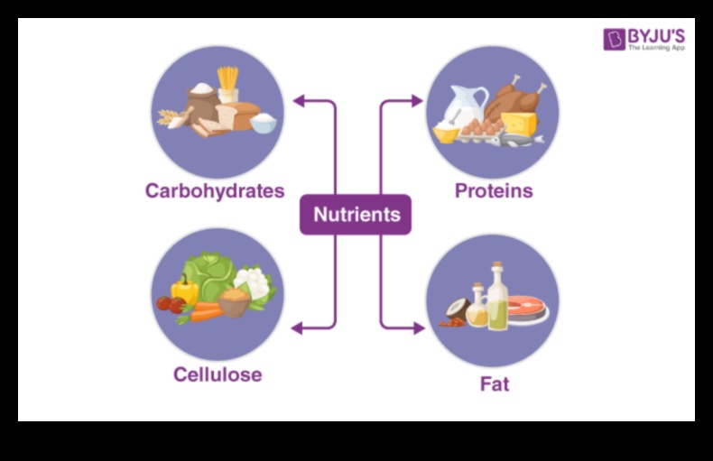 Ecuația nutrițională: deficiența de echilibrare pentru o sănătate optimă