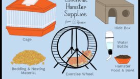 Elemente esențiale pentru adăpostirea hamsterilor: selectarea cuștii și a așternutului potrivite