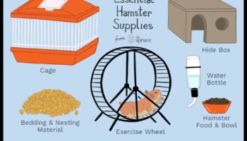 Elemente esențiale pentru adăpostirea hamsterilor: selectarea cuștii și a așternutului potrivite