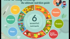 Nutrienți esențiali: un ghid cuprinzător pentru sănătate