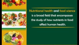 Nutrition Navigator: trasează-ți cursul către o viață vibrantă