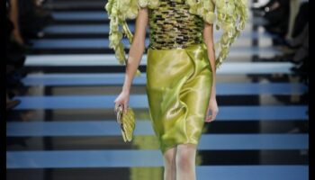 Pista pentru reptile: struding în stil cu accesorii pentru reptile