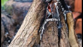 Care sunt câteva sfaturi pentru decorarea unei zone de picnic în aer liber cu accente vintage?