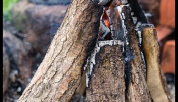 Care sunt câteva sfaturi pentru decorarea unei zone de picnic în aer liber cu accente vintage?